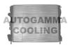 AUTOGAMMA 102890 Radiator, engine cooling